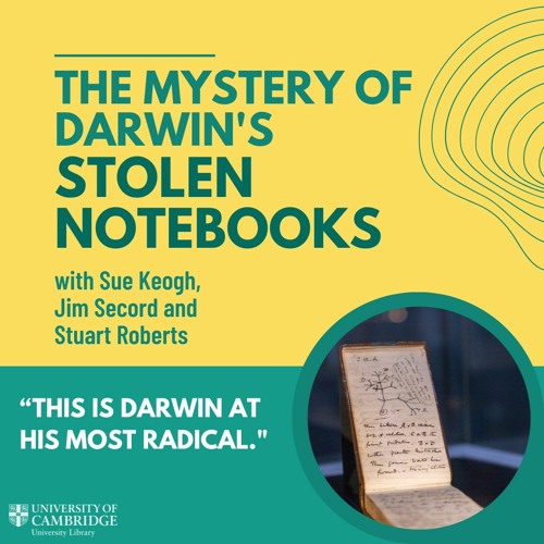El misterio de los cuadernos robados de Darwin