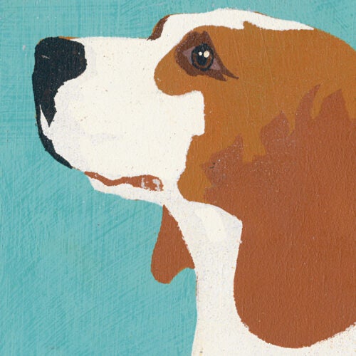 Ilustración de beagle.